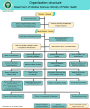 Organizational Structure